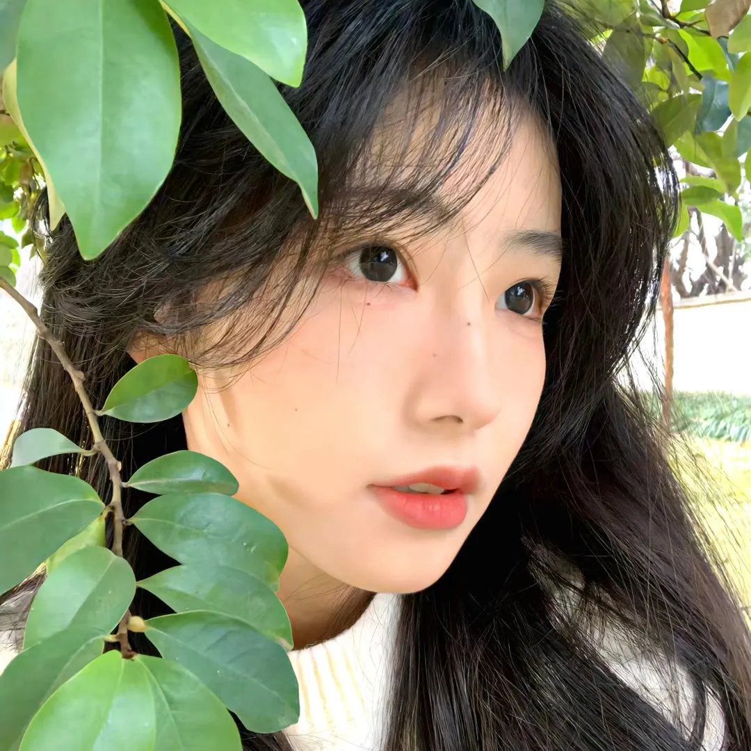 姬百合之塔